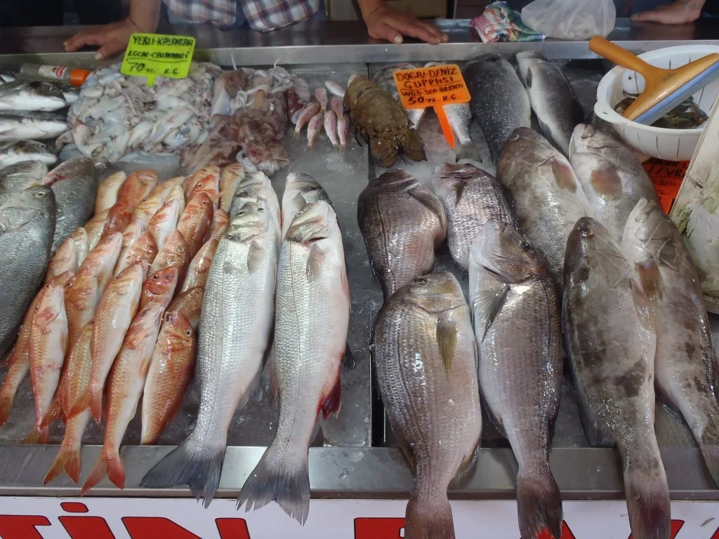 马尔马里斯费特希耶帆船之旅