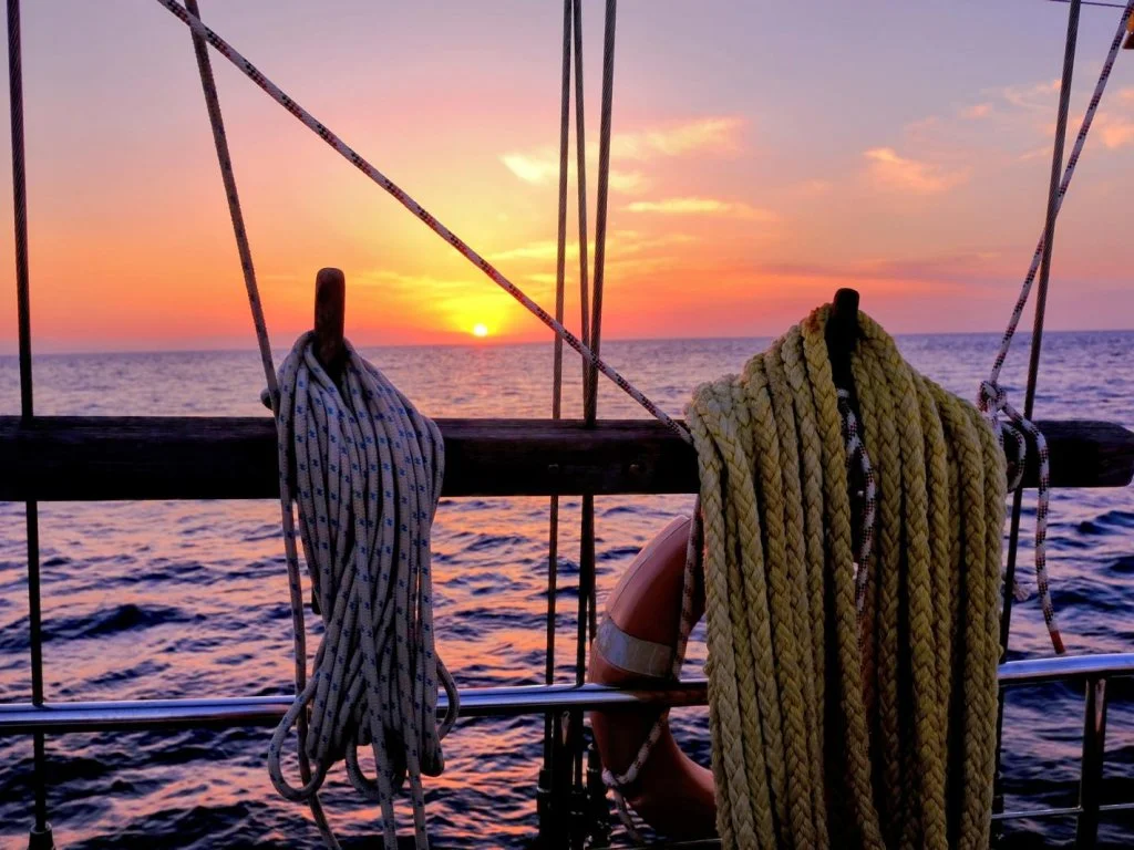 費特希耶奧林波斯派對之旅