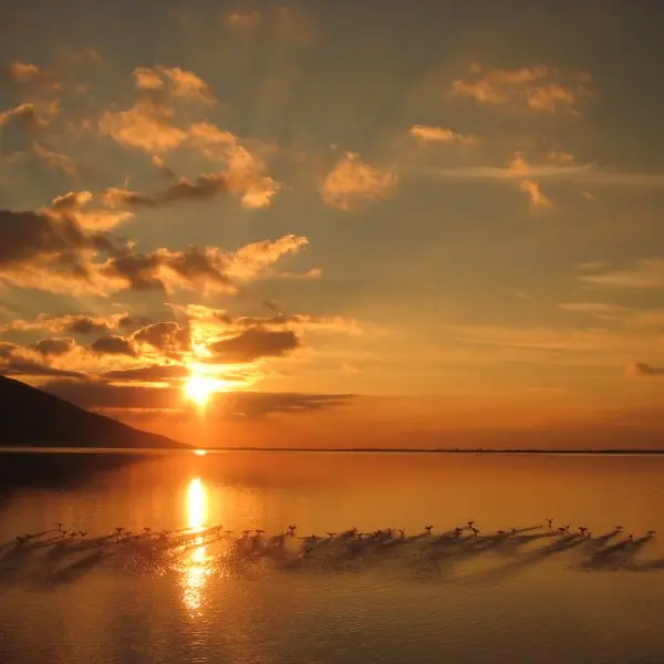 Blue Cruises Turkey, Yacht Charters Turkey, Sailing Tours Turkey. Yacht, Gulet, Holidays - V-GO Yachting