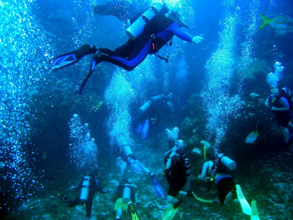 Scuba Diving