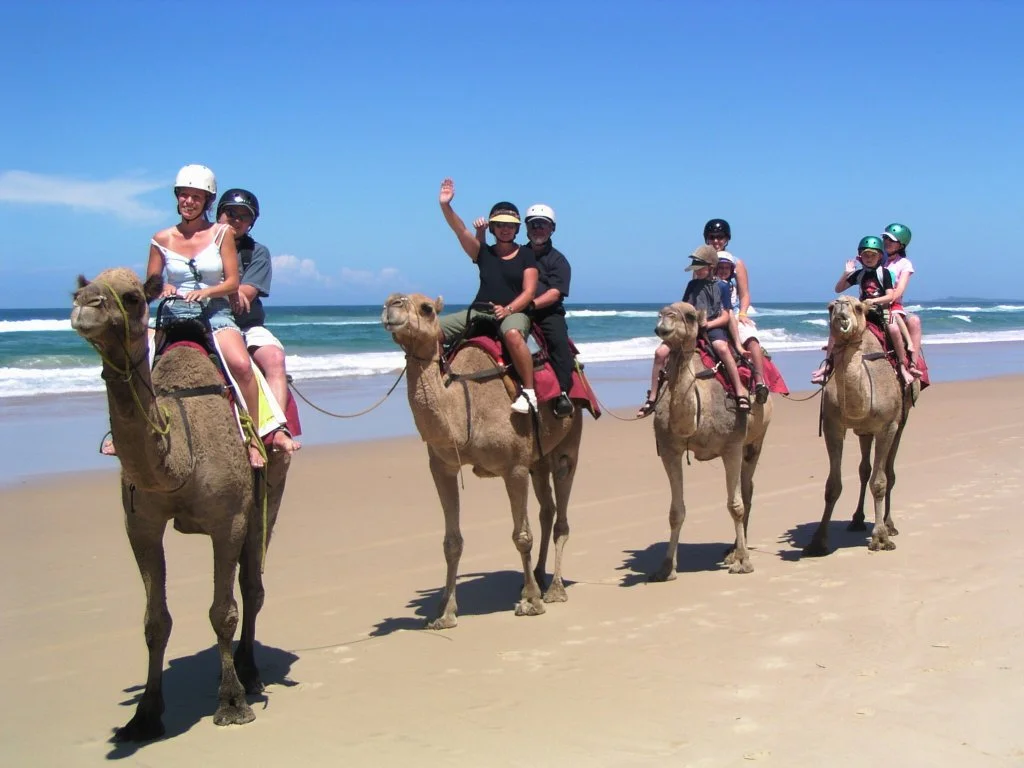Camel Riding