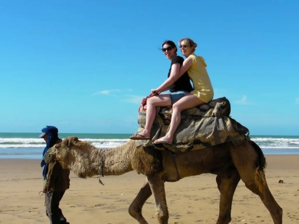 Camel Riding