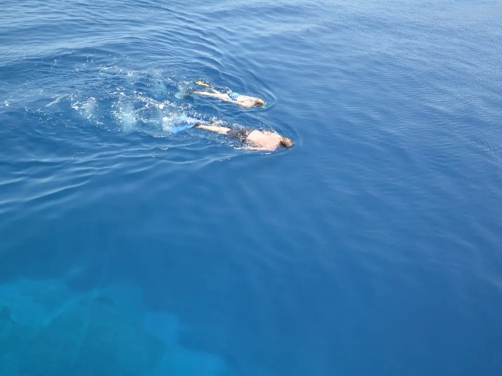 www.bluecruisesturkey.com/cn