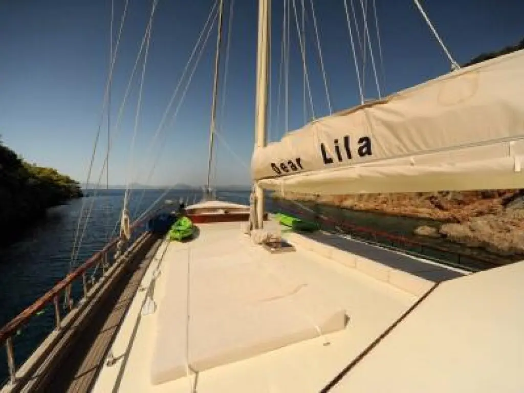 Dear Lila Gulet